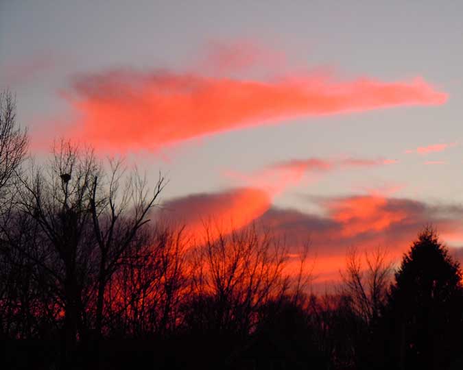 Brilliant Orange Clouds with Trees