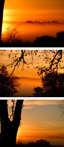 Great Meadow, Sudbury, MA