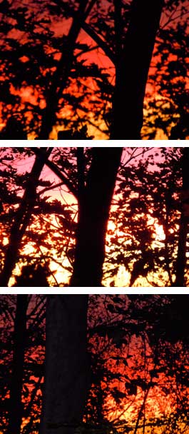 Sunset in Maynard, MA