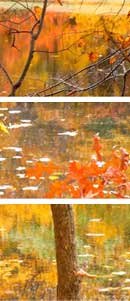 Mount Misery, Lincoln, MA