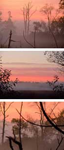 Great Meadow, Sudbury, MA