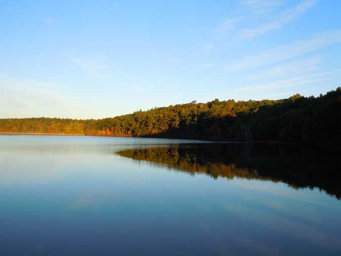 Placid Walden Pond II