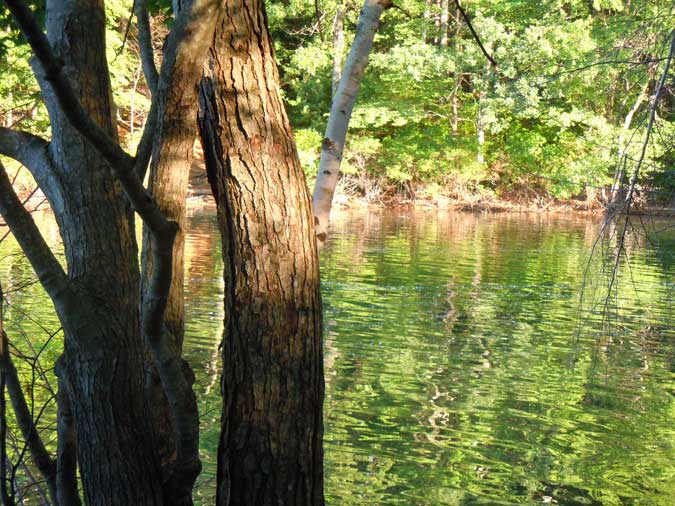 Rippling Green Waters
