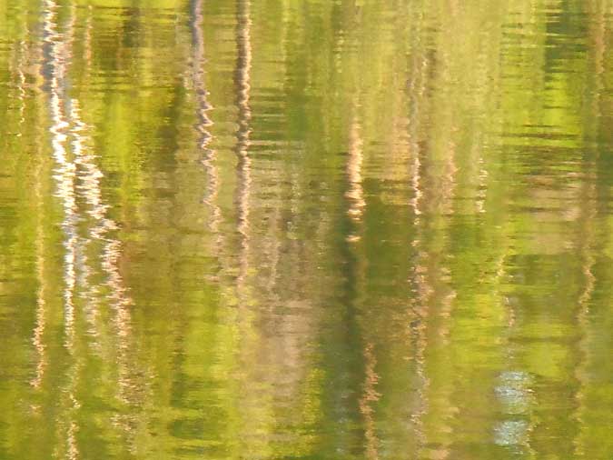 Impressionism at Lake Maranacook