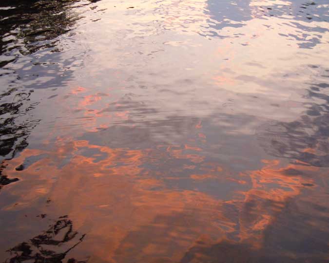 Greys Purples & Salmons II